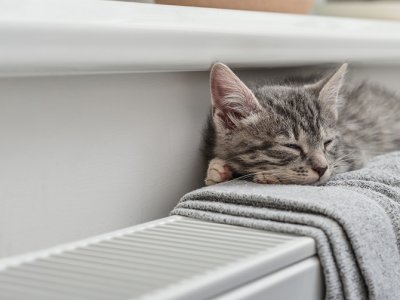 Discover Our Expert Boiler Services